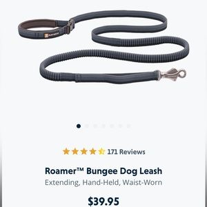 Ruffwear roamer bungee waist dog leash hands free